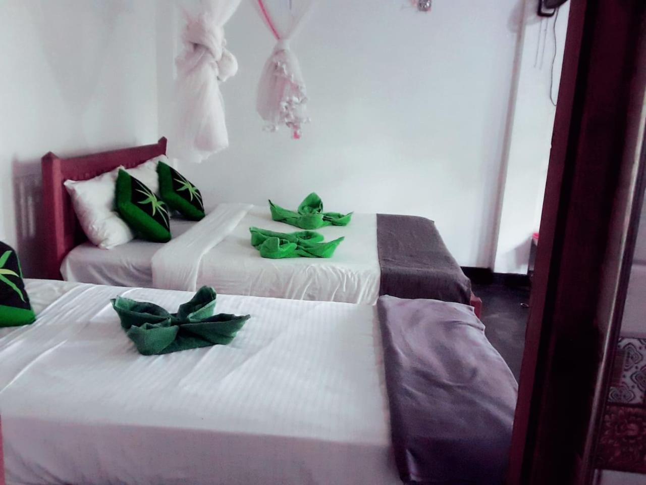 Enthral View Homestay Ella Εξωτερικό φωτογραφία