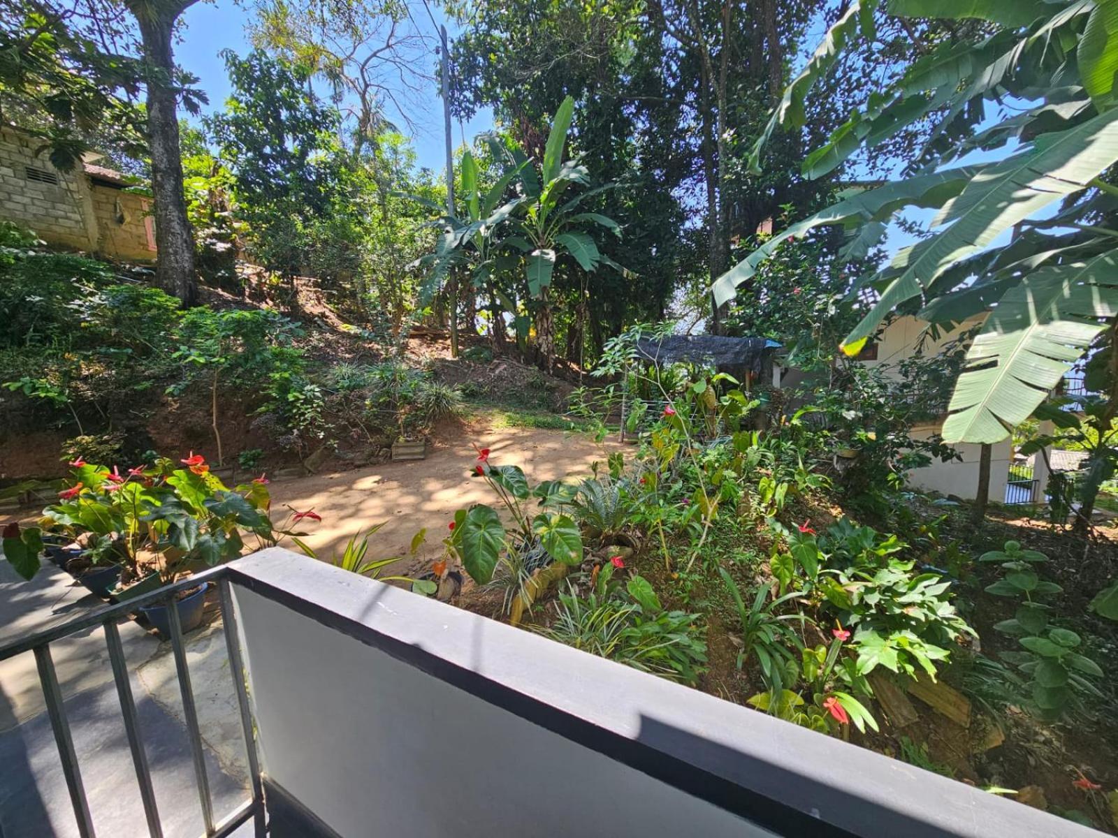 Enthral View Homestay Ella Εξωτερικό φωτογραφία