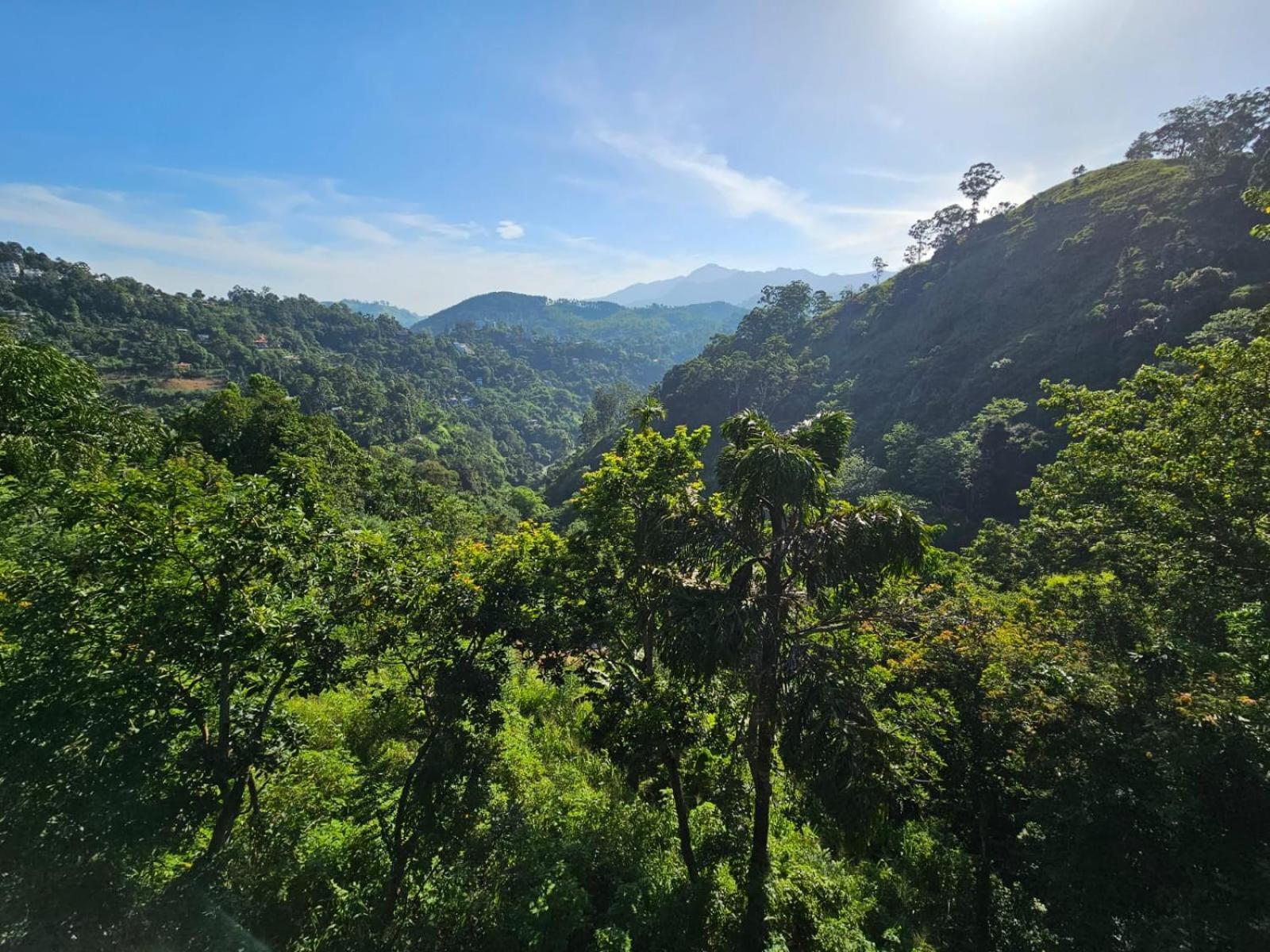 Enthral View Homestay Ella Εξωτερικό φωτογραφία